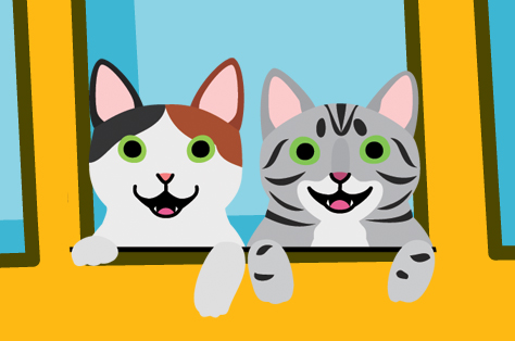 Cats looking out of the bus.jpg