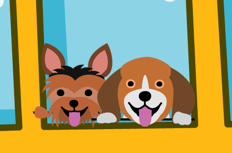 Dogs looking out of the bus.jpg